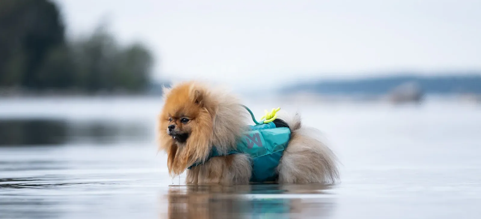 protector_life_jacket_teal_setting_3-recadre.webp