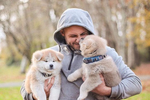 Avant l'adoption